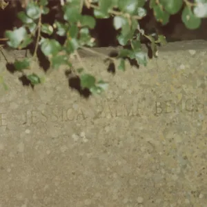Jessica Palme Bench, 1967, stone bench under the Meadow Oaks