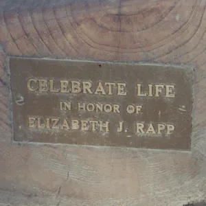 Elizabeth J. Rapp Bench, 1992, Island Section