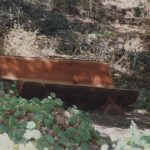 Elizabeth J. Rapp Bench, 1992, Island Section
