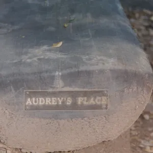 Audrey Rodgers Bench, 1996