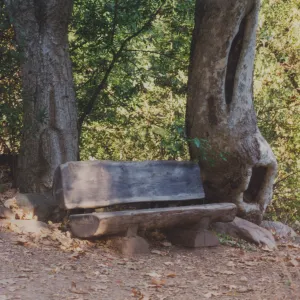 Audrey Rodgers Bench, Canyon