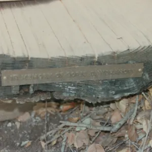 Boris D. Vishanoff Bench, 1980
