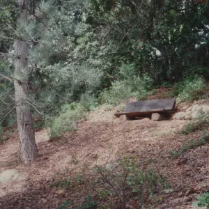 Boris D. Vishanoff Bench, 1980