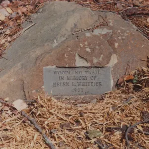 Helen R. Whittier Plaque, 1977, Woodland Trail