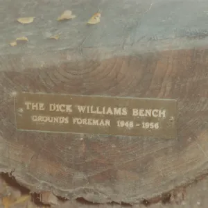 Dick Williams Bench, 1992, Meadow