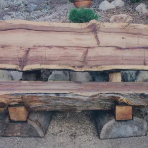 Carl and Shirley Wood Bench, 1988, Meadow
