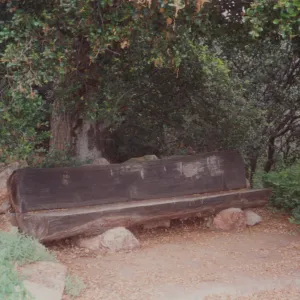Frederick Charles Wood Bench, 1970, Porter Trail (replaced by new stone bench, 1977)