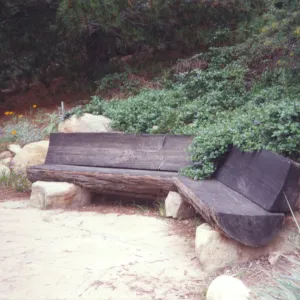 Old wood bench on Porter Trail (replaced by Dabney stone bench)