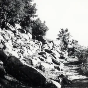 Removal of the shrubs from the slope above the Campbell Trial disclosed a tremendous supply of rocks of all sizes that had been hidden nby the dense shrub growth. Many were removed, but the most interesting were used to build the foundation for a hot sunn