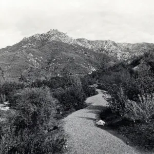 Foothill Trail