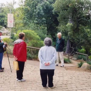 Garden visitors