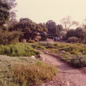 Meadow Area