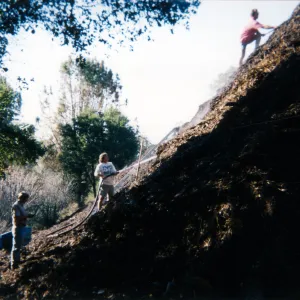 Mulch pile on ridge above Hort Unit that caught on fire and was removed