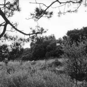 2014 AAM Accreditation Self-Study Documentation: Meadow
