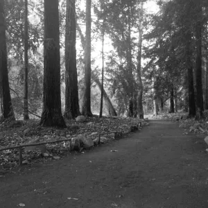 2014 AAM Accreditation Self-Study Documentation: Redwood