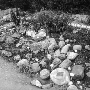 2014 AAM Accreditation Self-Study Documentation: Dudleya display