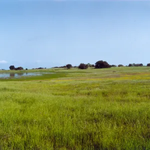 Santa Rosa plateau, vernal pools, San Diego County