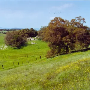 Santa Rosa plateau, San Diego County