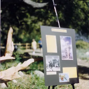 70th Birthday, 1996