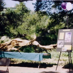 70th Birthday, 1996