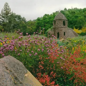 Toad Hall
