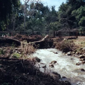 Debris at Mission Dam left by February 17 2017 rainstorm