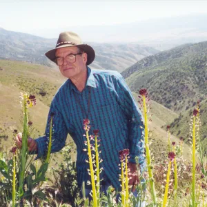 Clif Smith on his knees to one of his favorite flowers, Desert Candle, Caliente Range