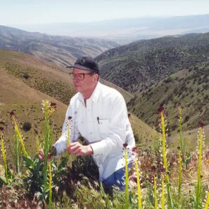 Clif Smith on his knees to one of his favorite flowers, Desert Candle, Caliente Range