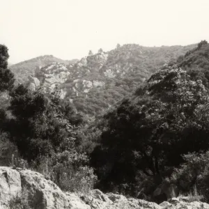 Black and white photograph with grass and bush covered hill side.