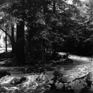 Flooding in Redwood Section