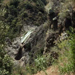 Conejo Creek, Wildwood Park