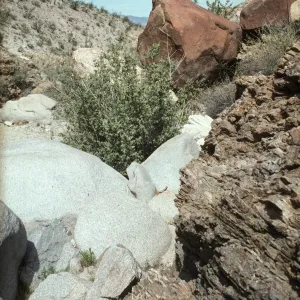 Anza Borrego Nude Wash Geology