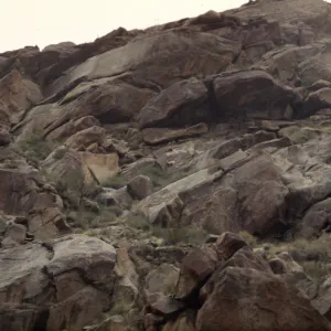 Anza-Borrego, Palm Canyon, Borrego