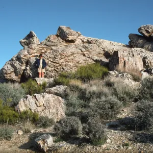 Carol Bornstein, Death Valley National Park, Aguerreberryi Pt.