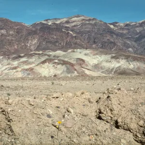 Chocolate Mountains ?
