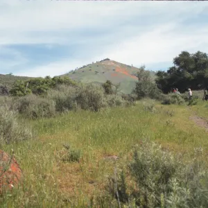 Grass Mountain with lichen rock