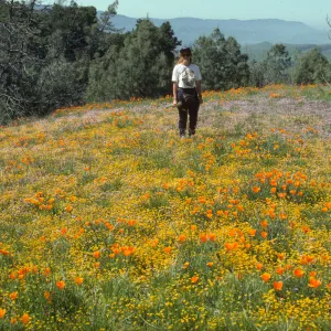 Betsy Collins in a field of wildflowers