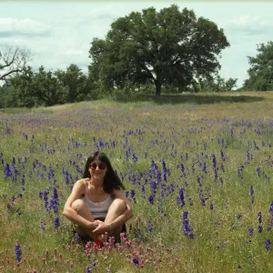 Delphinium patch