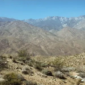 Panorama, Palm Canyon