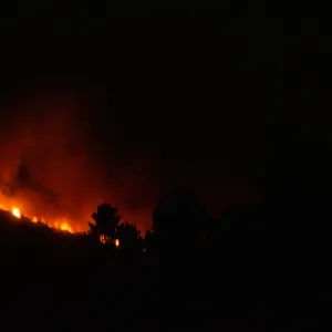 Coyote Fire, mountains above the Santa Barbara Botanic Garden, second night