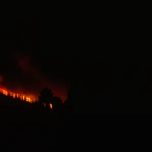 Coyote Fire, mountains above the Santa Barbara Botanic Garden, second night