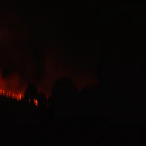 Coyote Fire, mountains above the Santa Barbara Botanic Garden, second night