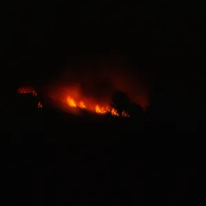 Coyote Fire, mountains above the Santa Barbara Botanic Garden, second night
