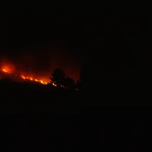 Coyote Fire, mountains above the Santa Barbara Botanic Garden, second night