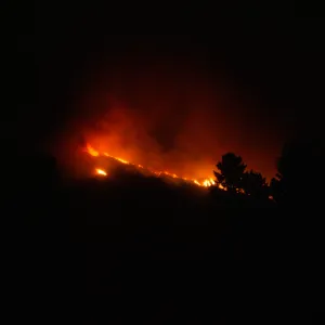 Coyote Fire, mountains above the Santa Barbara Botanic Garden, second night