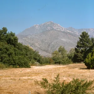 Coyote Fire aftermath, from Santa Barbara Botanic Garden Meadow
