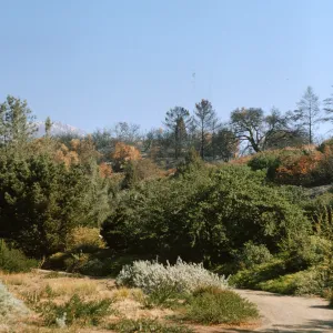 Coyote Fire aftermath from Santa Barbara Botanic Garden