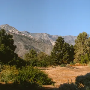 Santa Ynez Mountains burned by Coyote Fire, Garden Meadow fall