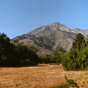 Garden meadow and Santa Ynez Mountains after Coyote Fire, 1964