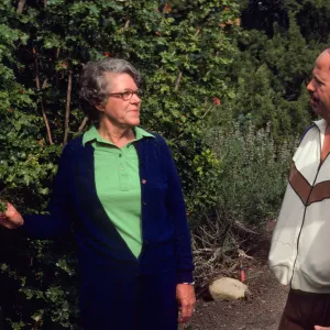An older woman in royal blue gestures toward a tall, thick bush while addressing a balding man wearing white and brown and a younger woman in a read sweatshirt. 